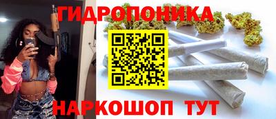 СК Анапа