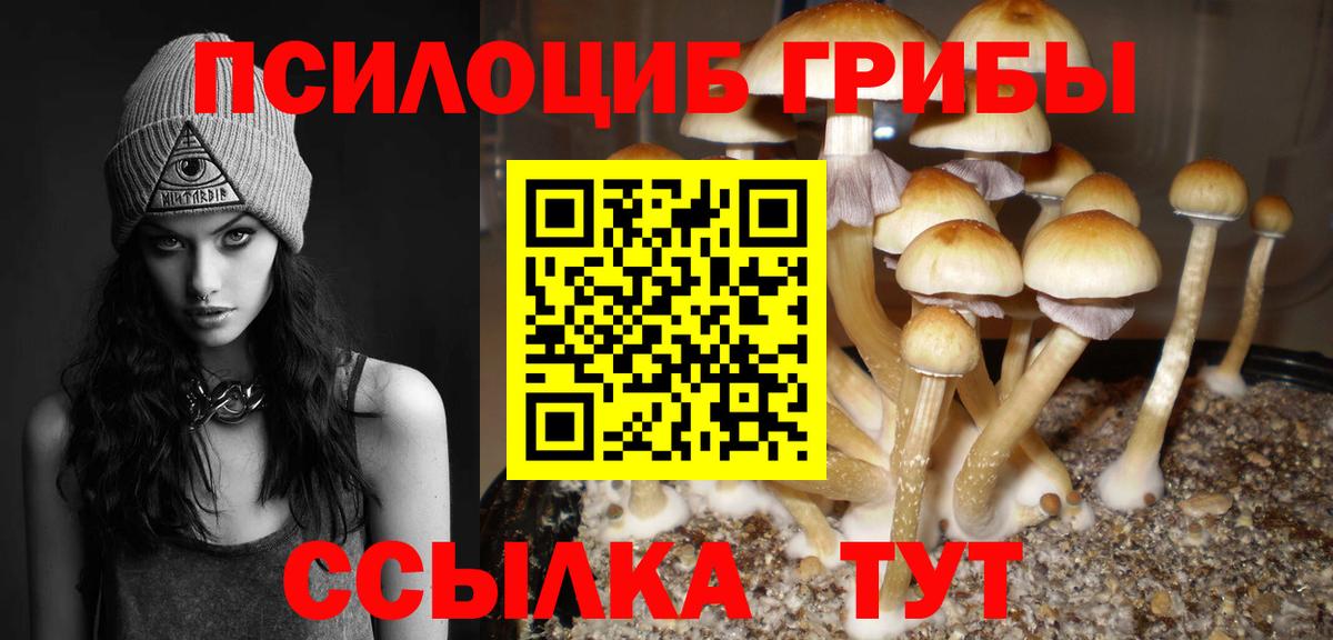 Псилоцибиновые грибы прущие грибы  где продают   Альметьевск  Вход с VPN 
