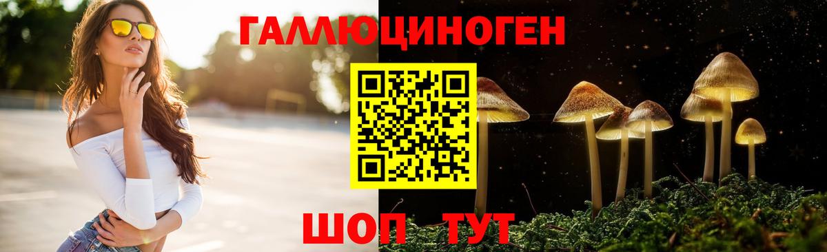 Галлюциногенные грибы Psilocybine cubensis Альметьевск